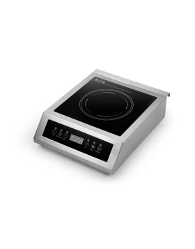 Digital Induction Cooker 300108