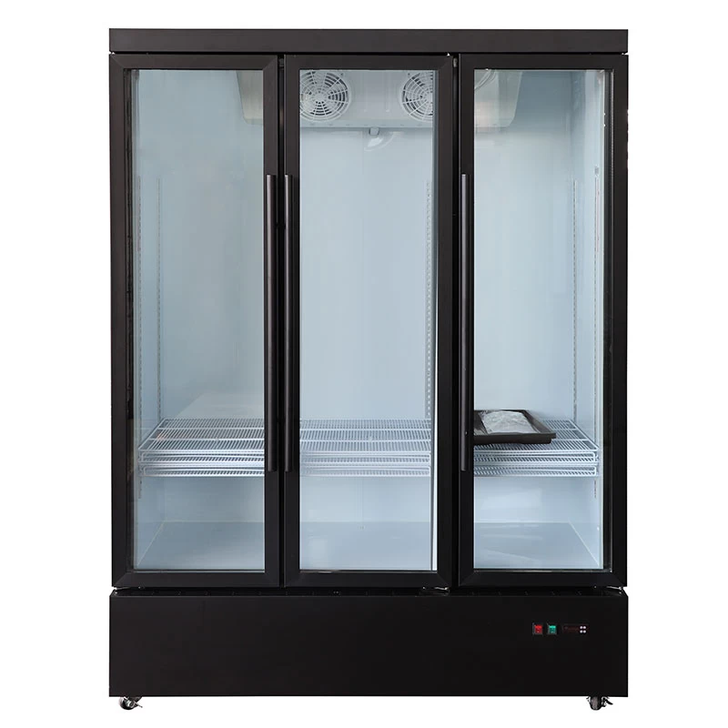Display refrigerator DBC1100H